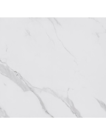 Buy Proplas Panelling White Marble Gloss - Length 2.7 m Width 250 mm | Poly Direct