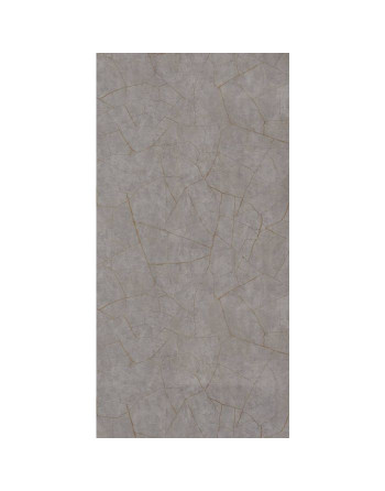 Buy Showerwall Panels Quarry Range Gold Slate Gloss - Width 1200 mm Proclick | Poly Direct