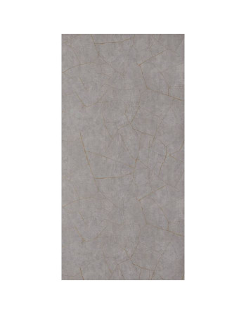 Buy Showerwall Panels Quarry Range Gold Slate Matt - Width 1200 mm Proclick | Poly Direct