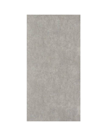 Buy Showerwall Panels Quarry Range Silver Slate Gloss - Width 1200 mm Proclick | Poly Direct