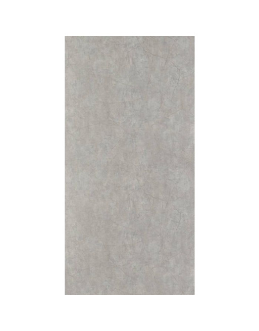 Buy Showerwall Panels Quarry Range Silver Slate Matt - Width 1200 mm Proclick | Poly Direct