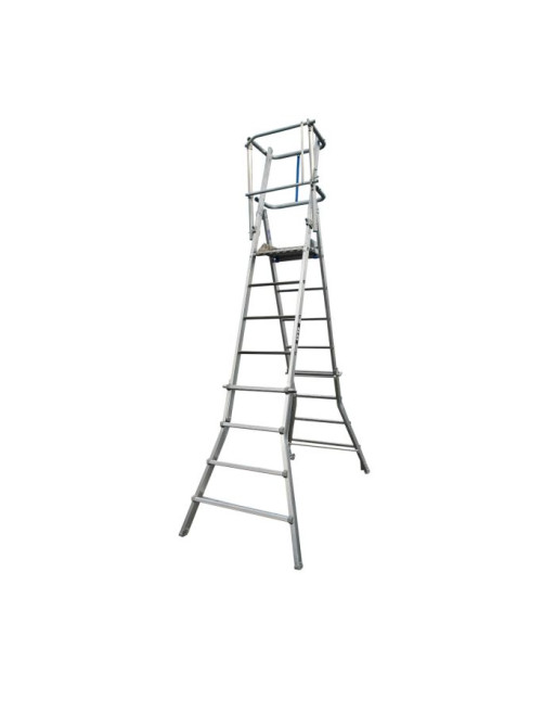 Buy Aluminium MultiLyte Telescopic Platform - Tread 4-6 | Poly Direct