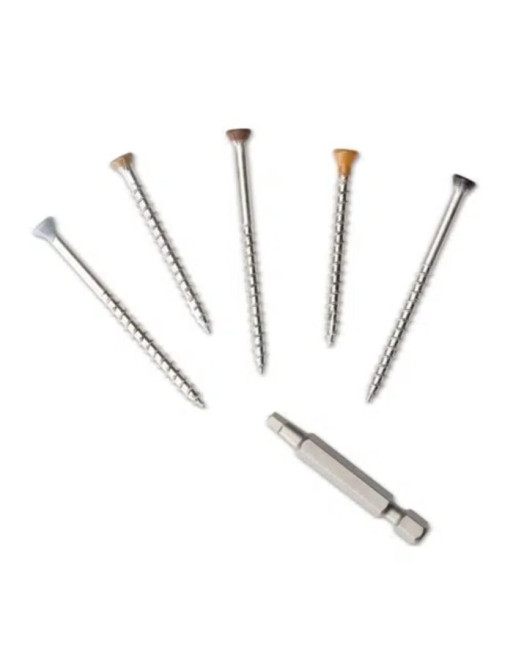 Buy Colour Coded Screws Argent | Poly Direct